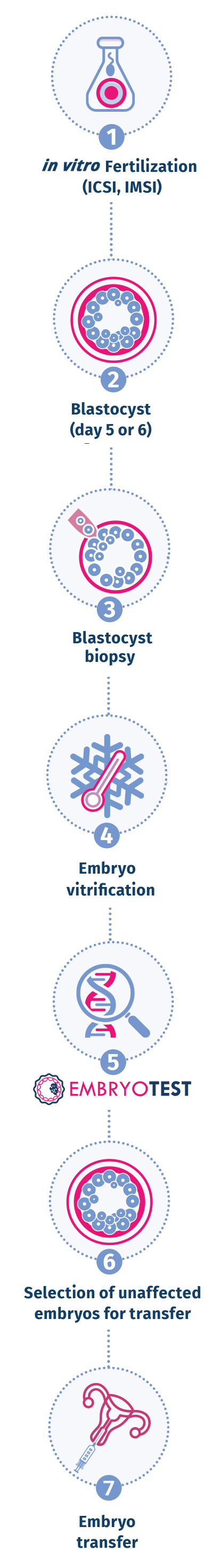 EmbryoTest Testing Process